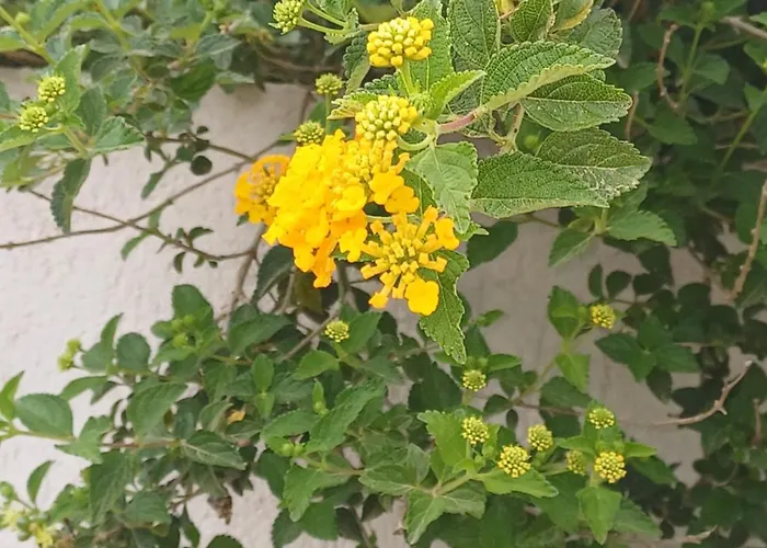 וילה Richmond Greece פורוס