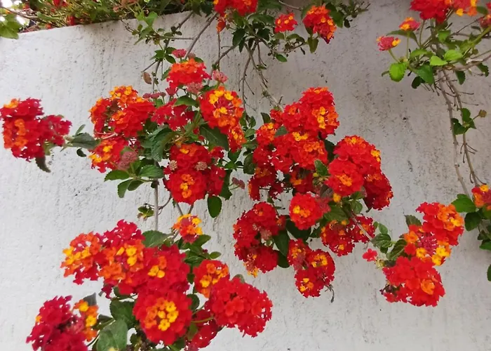 וילה Richmond Greece פורוס