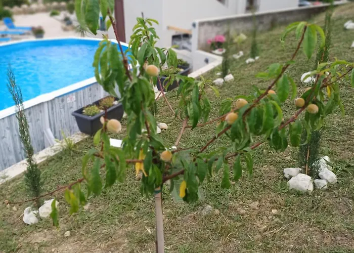 Richmond Greece * פורוס