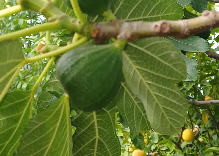 וילה Richmond Greece