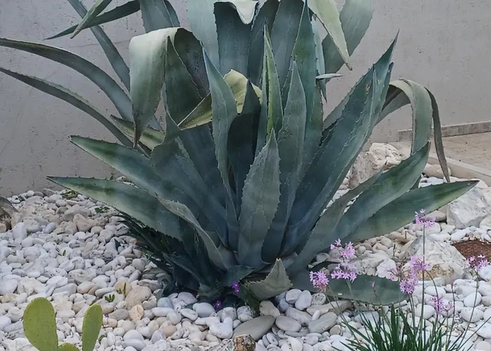 Richmond Greece פורוס