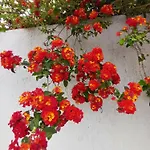 Villa Richmond Greece Pórosz