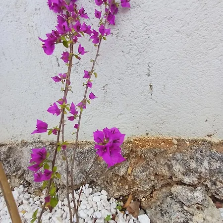 Richmond Greece *