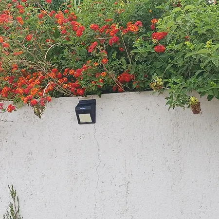 فيلة Richmond Greece